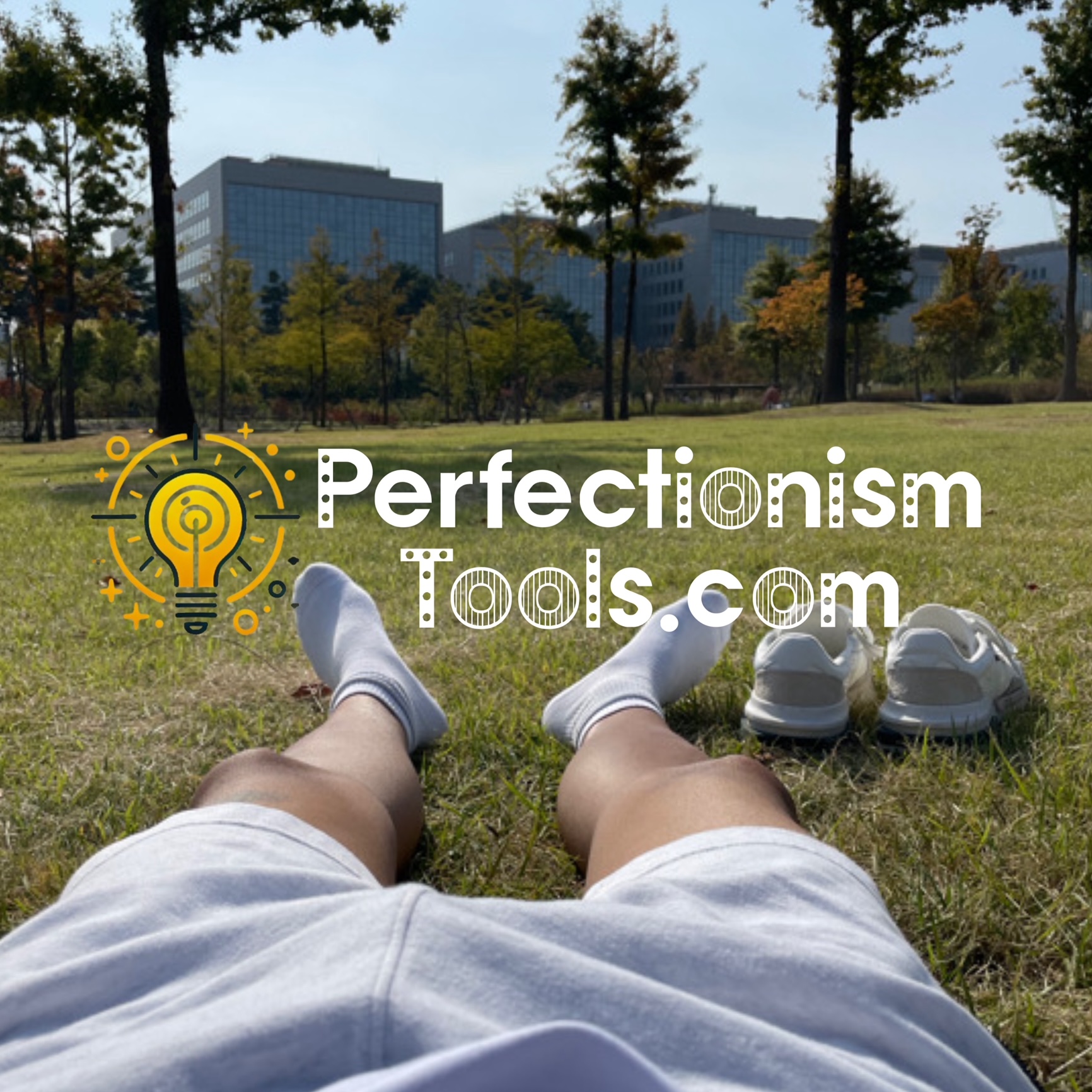 Perfectionism Tools.com